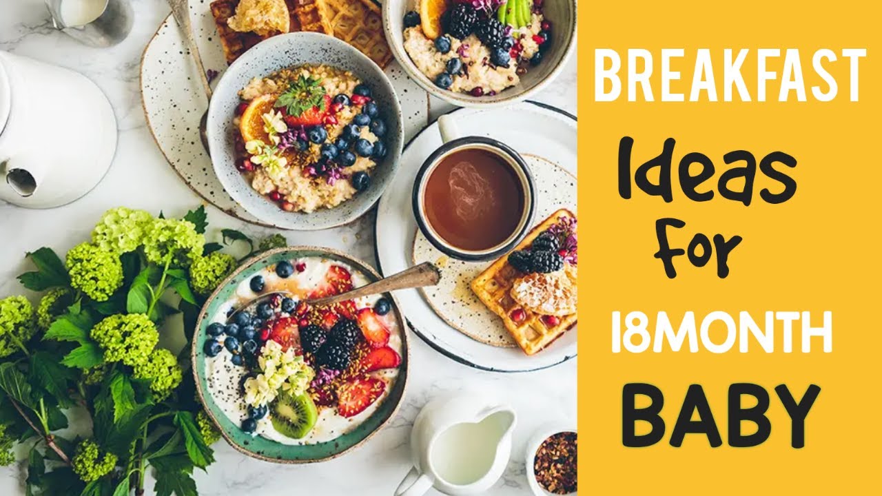 Breakfast Ideas for 18 month old Baby | toddler breakfast Ideas 1-2 ...