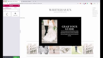 Adding a Flodesk Form to a WordPress with Elementor Website