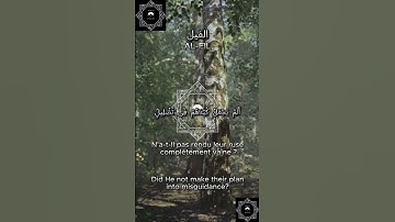 QURAN SOURATE AL FIL قرآن سورة الفيل