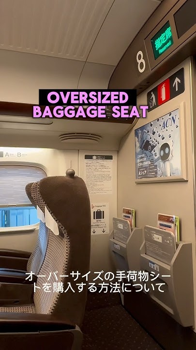 step-by-step-guide-on-purchasing-an-oversized-baggage-seat-on-the