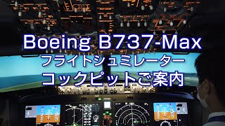 コックピットの基礎知識 B737max