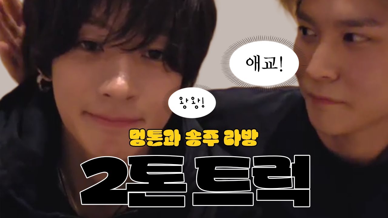 [라이즈/투톤즈] 🔴20250831 생각보다 더 견과 견주의 라방 2톤트럭