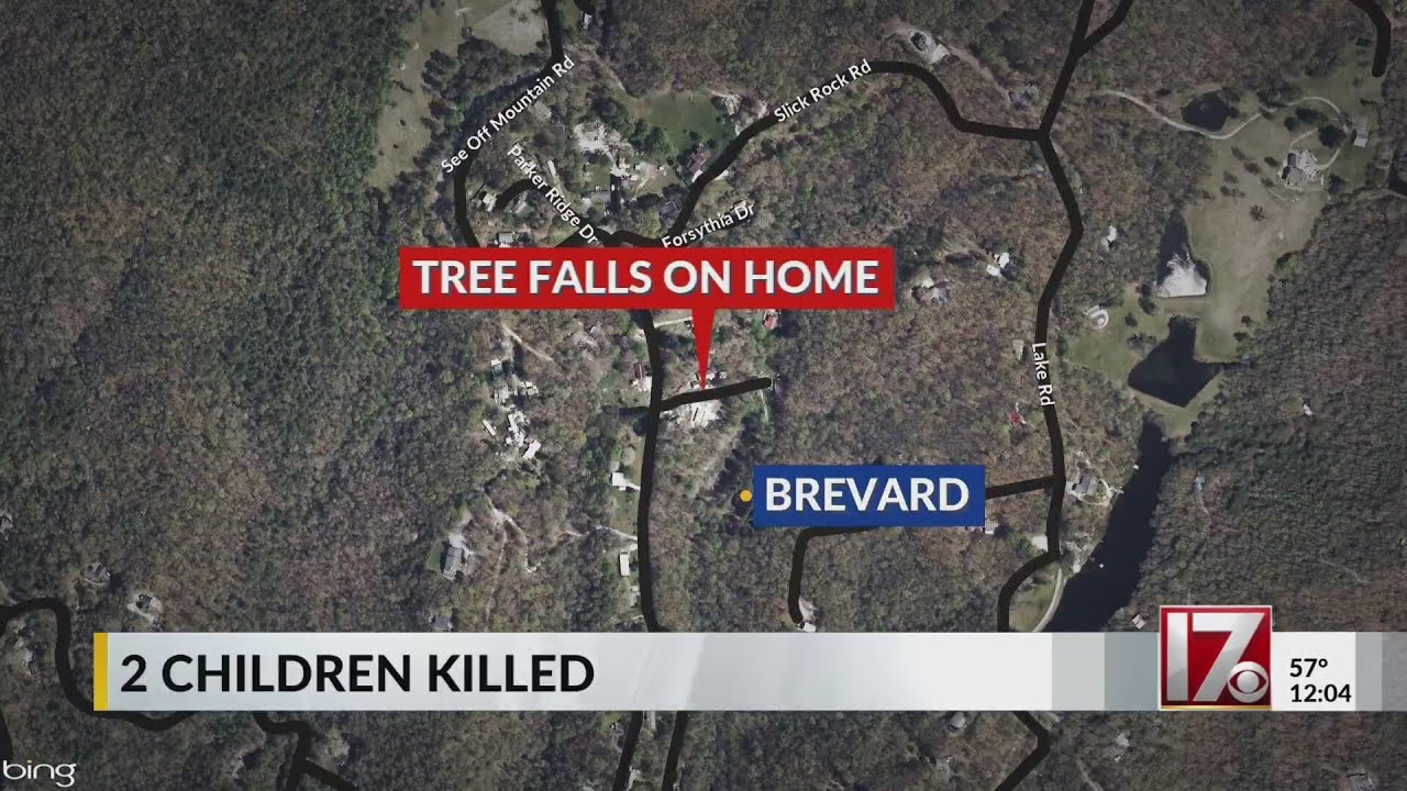 Two children killed by tree in North Carolina