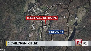 Two children killed by tree in North Carolina