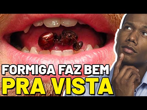 Vídeo: Qual inseto também é uma formiga branca?