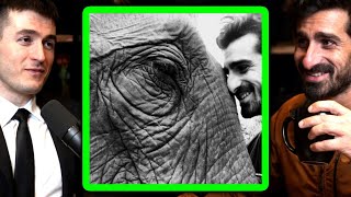 Elephants are very intelligent | Paul Rosolie and Lex Fridman