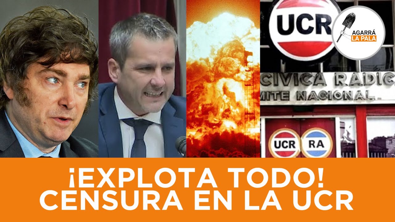 ESCÁNDALO: CENSURA EN EL RADICALISMO POR VOTAR A FAVOR DEL VETO DE ...