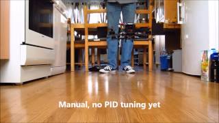 Maiden Pulse 230 Mini fpv quadcopter