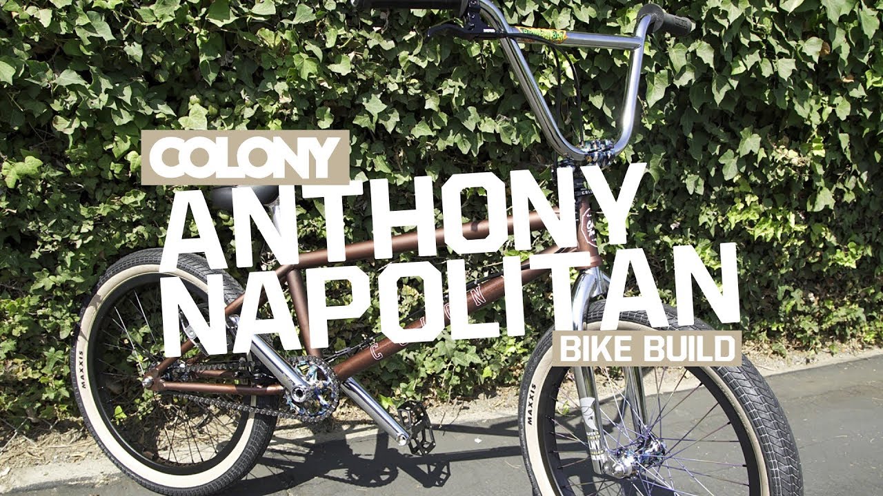 Anthony Napolitan Bike Build - Colony BMX