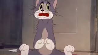Tom & Jerry -  Fraidy Cat  -  Season 1   Episode 4 Part 2 of 3