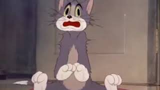 Tom & Jerry - Fraidy Cat - Season 1 Episode 4 Part 2 Of 3