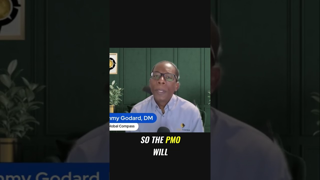 Building a Powerful PMO: Strategy Navigator for Your Business 