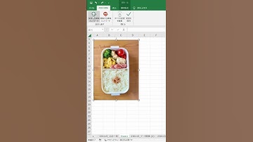 【Excel】これ知ってる？秒殺背景削除！ #エクセル #仕事 #仕事術 #大人の勉強垢