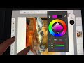 Tracing an image via sketchbook app on Ipad
