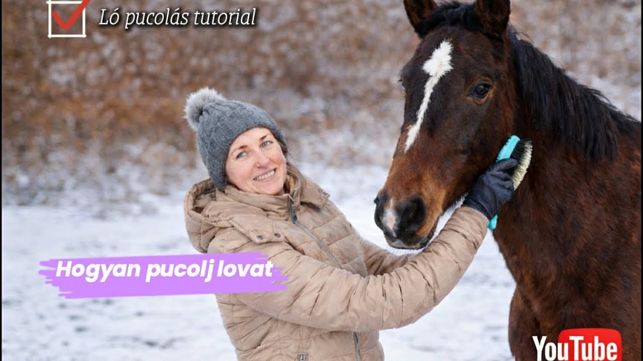 Ló pucolás tutorial