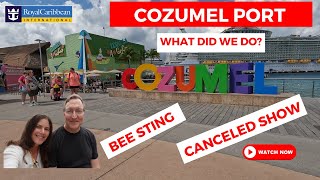 Cruise Vlog: Cozumel Port Day on Harmony of the Seas