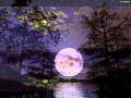 Clair de Lune