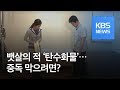 [81회] 뱃살의 적 '탄수화물'...밥과 밀가루가 아니었다? / KBS뉴스(News)