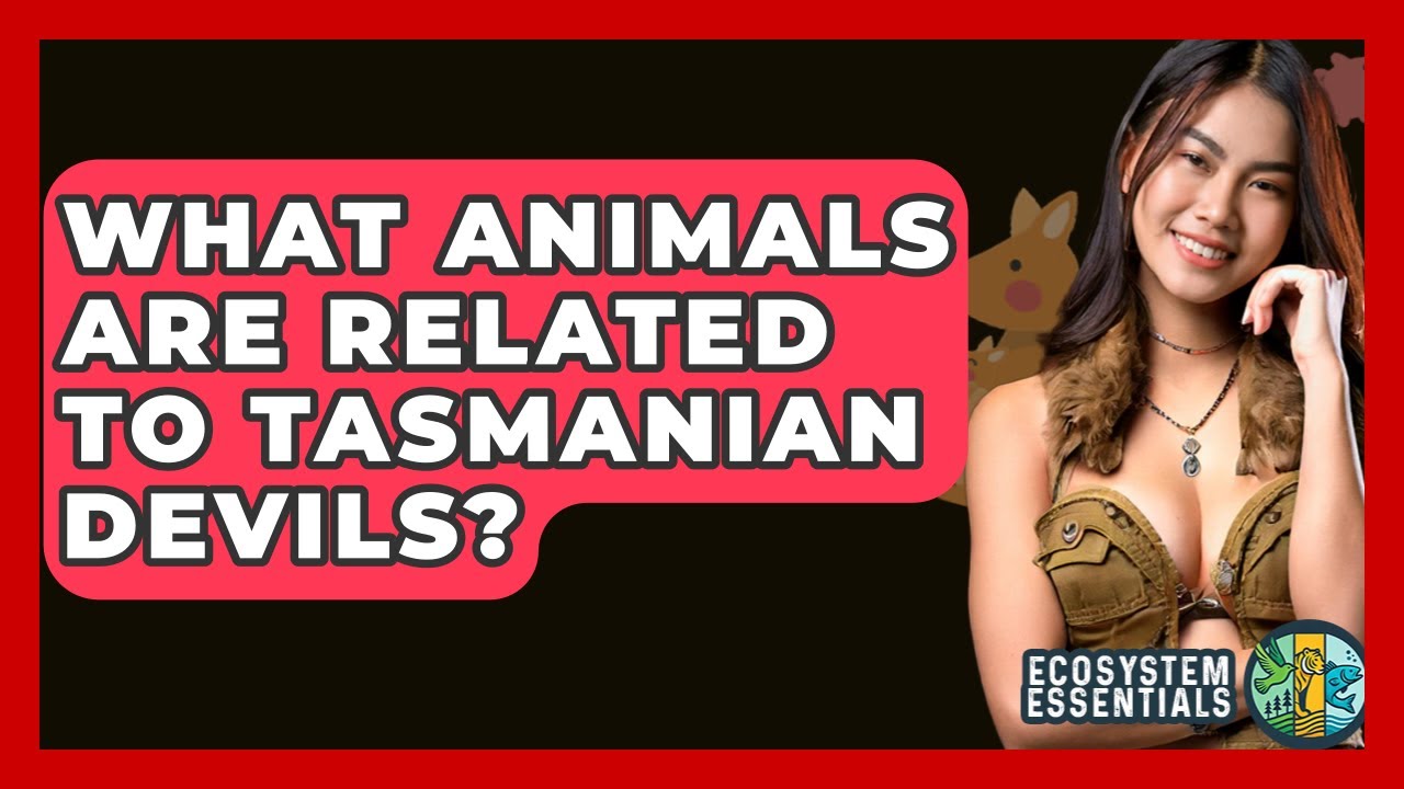 What Animals Are Related To Tasmanian Devils? - Ecosystem Essentials