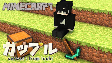 マイクラ家造り新しい動画