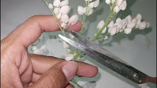 ASMR suara gunting bunga putih yang memuaskan