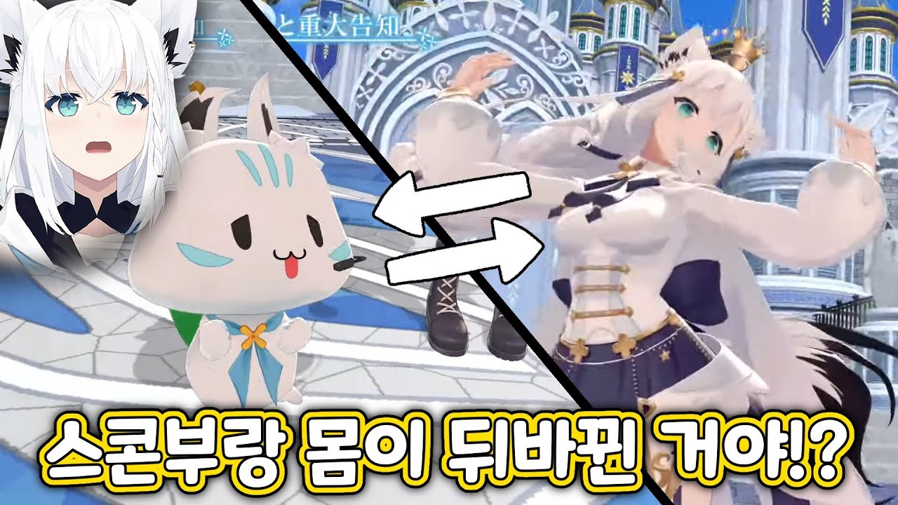 후부키의 몸으로 섹시한 춤을 추는 스콘부 [홀로라이브/시라카미 후부키/미코/스이세이]