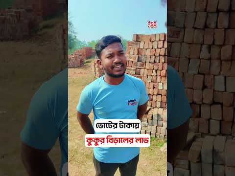 ভোটের টাকায় কুকুর বিড়ালের লাভ😂 #shorts #comedy