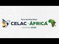 Live: CELAC–Africa Panel Session on Historical Reparations