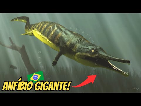 PaleoVida: PRIONOSUCHUS | O MAIOR ANFÍBIO QUE JÁ EXISTIU É BRASILEIRO! 🇧🇷 (Tudo sobre ele!!)