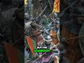 The TRUTH About Medieval Armor (It Wasn’t All Metal!)