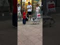 Husky robot dog hahahahaha #robotdog #shorts #funny #reaction