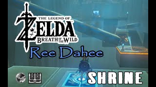 Ree Dahee Timing is Critical Shrine guide Zelda BotW