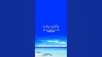 ويوم يعض الظالم على يديه...احمد النفيس من سورة الفرقان...