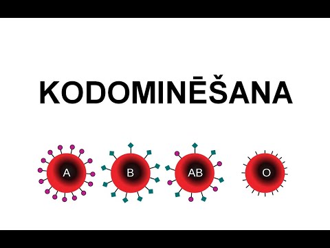 Kodominēšana