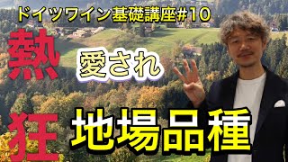 【ドイツワイン基礎講座♯10】愛され地場品種について　ドイツワイン最高！