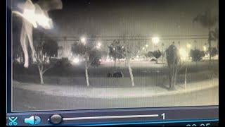 Fairy caught on security camera in Los Angeles