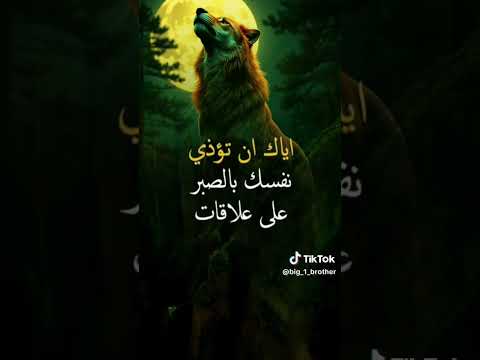 كلمات من ذهب تصف الدنيا اللي بنيعشها اكسبلور 