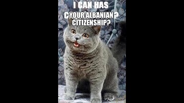 idols kinda syncs with killbot