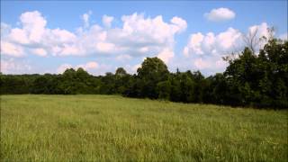 Absolute Auction 7.60 Acres Commercial General Mt Juliet, Tennessee
