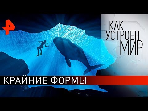 Крайние формы. "Как устроен мир" с Тимофеем Баженовым (30.10.19).