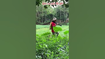 #shorts Lên Cá Suối Đã Ghê #youtubeshorts #caucatv2 #cauca #caucasuoi