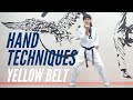 Taekwondo hand techniques yellow belt curriculum