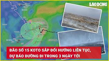 Bão số 15 Koto sắp đổi hướng liên tục, dự báo đường đi trong 3 ngày tới | Báo Lao Động