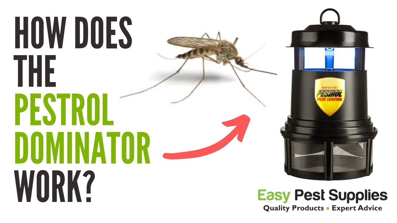 Best Mosquito Trap In 2019 Top 6 Mosquito Traps Review Youtube
