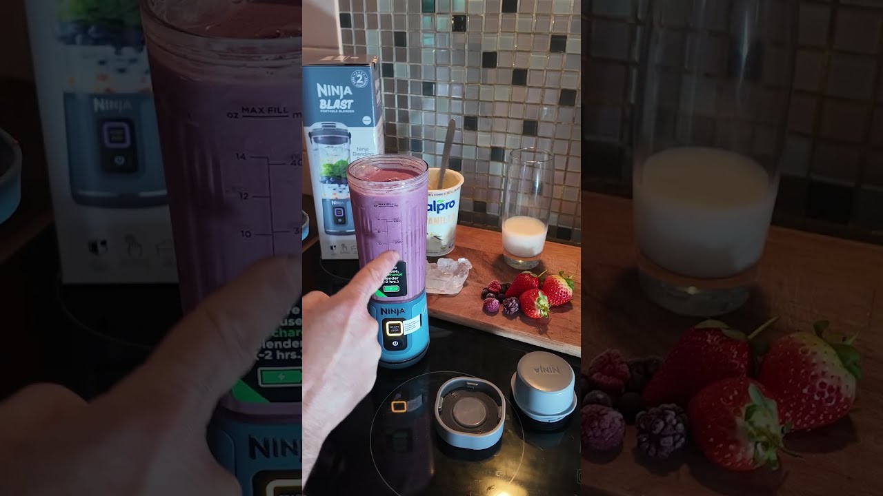 All You Need To Know Ninja Blast Ninjafoodblender