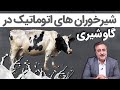 شیرخوران های اتوماتیک در گاو شیری شیرخوران های اتوماتیک در گاو شیری