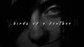 Download lagu Billie Eilish, BIRDS OF A FEATHER | slowed reverb |