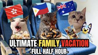 CAT MEMES: A FAMILY VACATION HALF HOUR COMPILATION