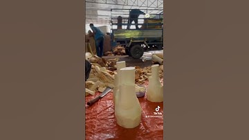 Củ hủ dừa Chí Tâm Bến Tre 0946614380 | Củ hủ dừa tươi hút chân không