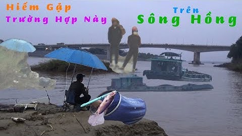 Lạ lùng cảnh người câu cá giữa dòng sông Hồng – sà lan hút cát nổ máy ầm ầm qua cầu Phong Châu mới